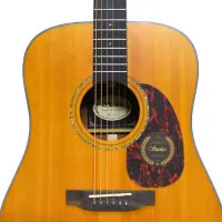 Suolun GT-1D N Гитара акустическая 41" Dreadnought, цвет натуральный, с чехлом в комплекте