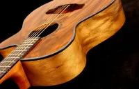 Oriental Cherry W-300-40