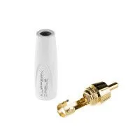 KYLE059 2