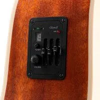 Parkwood W81-12E-WBAG-OP Гитара электроакустическая 12-струнная с чехлом