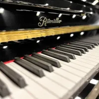 Ritmuller UP118R2(A111) Пианино акустическое, полированное, цвет чёрный