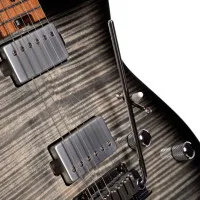 CORT G290-FAT-II-TBB Электрогитара G-Series, черная