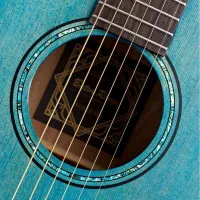 BATON ROUGE X11LS/F-SBB Гитара акустическая, Folk, цвет Screwed Berry Blue