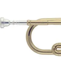 STAGG WS-TR215S Труба в мягком кофре, строй Bb