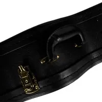 ACURY WC-120BE Кейс для акустической гитары 41"