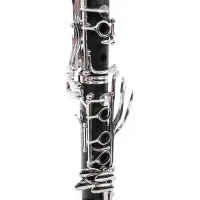 VIVOTON Standart+ Кларнет ученический Bb (Си-бемоль), в футляре, с аксессуарами в комплекте