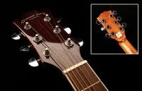 Oriental Cherry W-500S-40