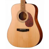 Cort EARTH PACK OP Гитара акустическая в наборе с аксессуарами