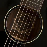 BATON ROUGE X54S/FJE-BT Гитара электроакустическая, цвет чёрный комбинированный