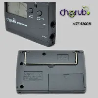 Тюнер Cherub WST-520GB