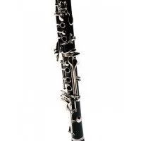 Fleet FLT-CGB-17 Кларнет Bb, в кейсе