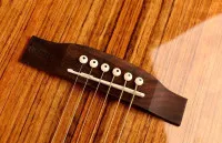 Oriental Cherry W-215-41