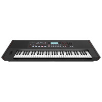 Roland E-X50 Синтезатор с автоаккомпанементом, 61 клавиша