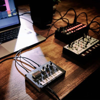 KORG Nu:Tekt NTS-1 digital KIT Синтезатор компактный, цифровой, монофонический 