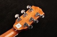 Oriental Cherry W-500S-41