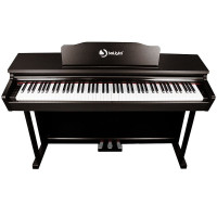 SOLISTA DP200RW Фортепиано цифровое, цвет палисандр