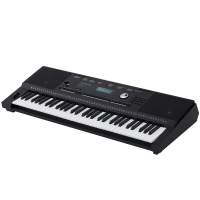 Roland E-X20