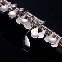 John Packer JP114 Флейта-пикколо С, композит