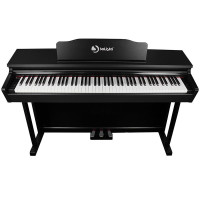 SOLISTA DP200BK Фортепиано цифровое, цвет чёрный