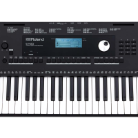 Roland E-X20