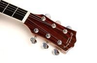 Oriental Cherry W-100-41