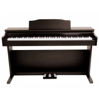 SOLISTA DP200RW Фортепиано цифровое, цвет палисандр