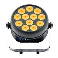 STAGE4 FASHION PAR 12x10XWAU Светильник LED PAR, 12х10 Вт (RGBWA-UV), DMX512