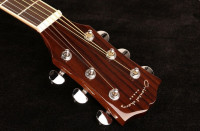 Oriental Cherry W-500S-41